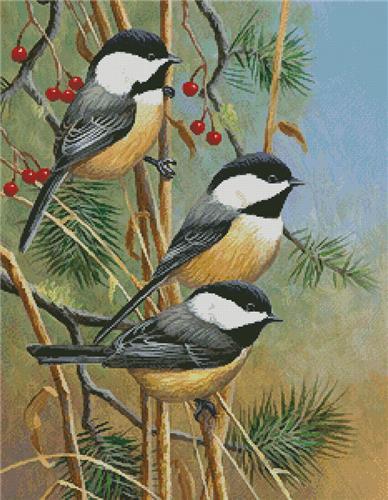 click here to view larger image of Chickadees  (chart)