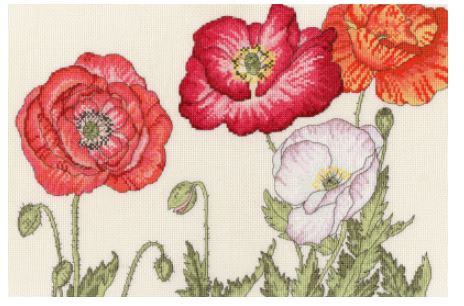 click here to view larger image of Poppy Blooms   (counted cross stitch kit)