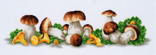 click here to view larger image of Mushroom Boom (counted cross stitch kit)