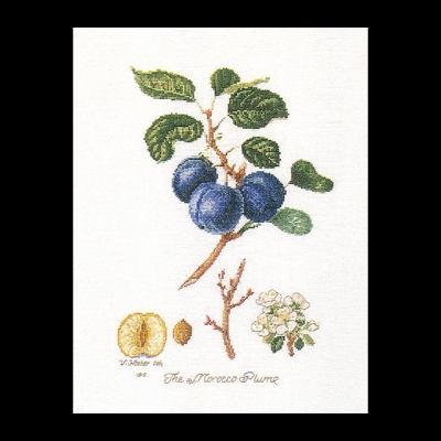 click here to view larger image of Morrocco Plum (counted cross stitch kit)
