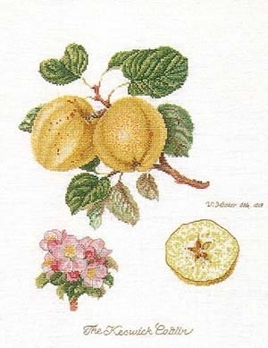 click here to view larger image of Apples  (counted cross stitch kit)