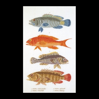 click here to view larger image of Fish Panel (counted cross stitch kit)