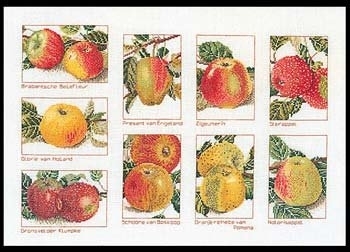 click here to view larger image of Apples  (counted cross stitch kit)