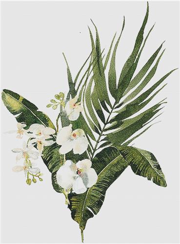 click here to view larger image of White Orchid Arrangement (chart)