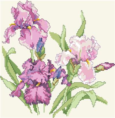 click here to view larger image of Iris Portrait (chart)