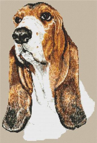 click here to view larger image of Basset Hound  (chart)