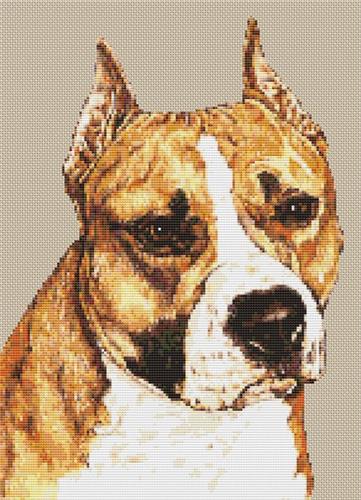 click here to view larger image of American Staffordshire Terrier (chart)