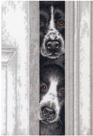 click here to view larger image of Peeking Pups (counted cross stitch kit)