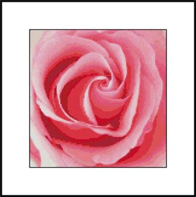 click here to view larger image of Pink Rose Close Up (chart)
