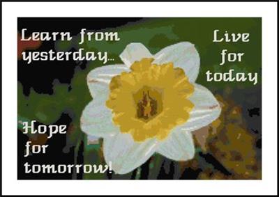 click here to view larger image of Daffodil and Life Sampler (chart)