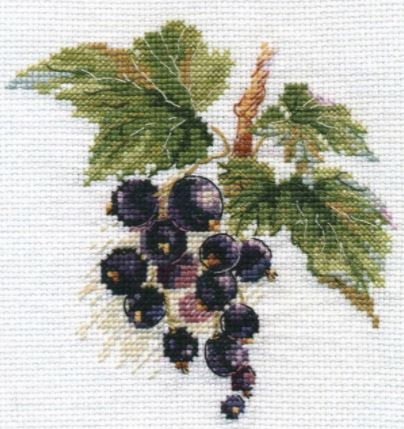 click here to view larger image of Black Currant (counted cross stitch kit)