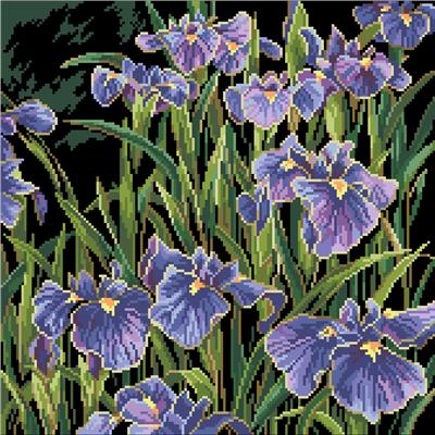 click here to view larger image of Irises (chart)