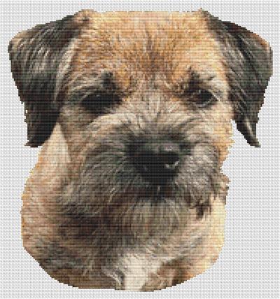 click here to view larger image of Border Terrier 2 (chart)