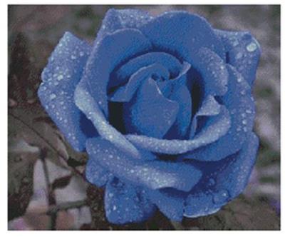 click here to view larger image of Blue Rose, The (chart)