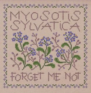 click here to view larger image of Myosotis Sylvatica (chart)