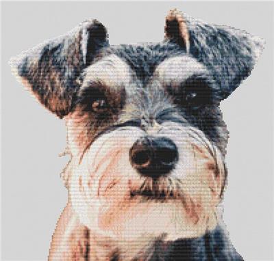 click here to view larger image of Schnauzer Alert (chart)
