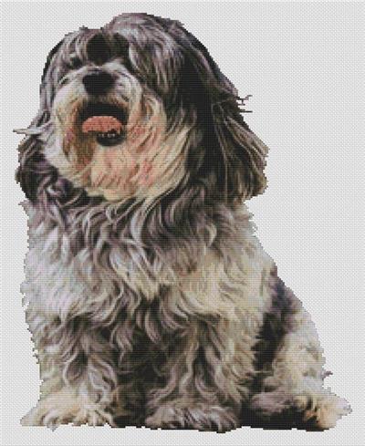 click here to view larger image of Buddy - Shih Tzu (chart)