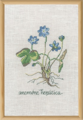 click here to view larger image of Blue Anemone (counted cross stitch kit)