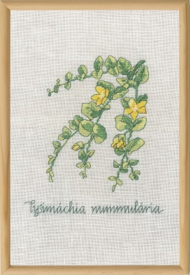 click here to view larger image of Lysimachia (counted cross stitch kit)