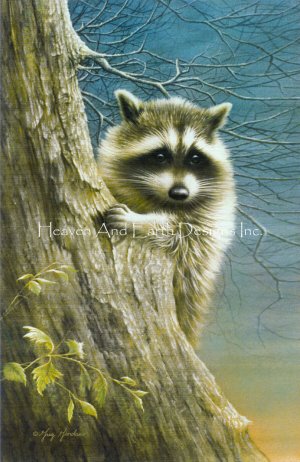click here to view larger image of Raccoon (chart)