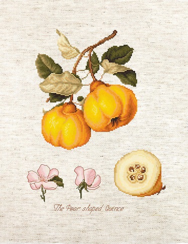 click here to view larger image of Pear Shaped Quince, The (counted cross stitch kit)
