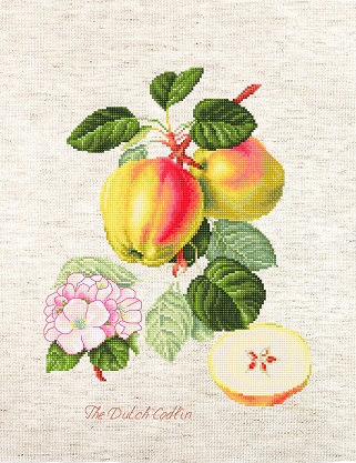 click here to view larger image of Dutch Codlin, The (counted cross stitch kit)