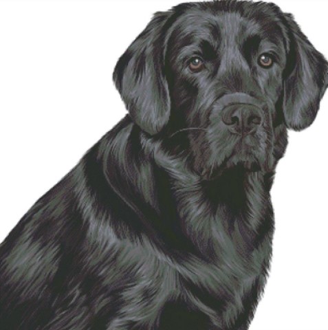 click here to view larger image of Black Lab (chart)