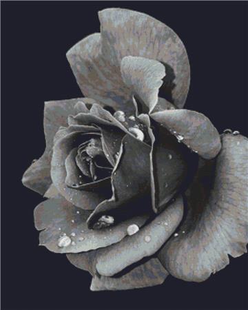 click here to view larger image of Black and White Rose (chart)
