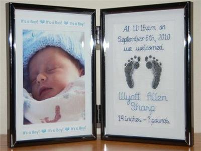 click here to view larger image of Stitches and Photos - New Baby (chart)