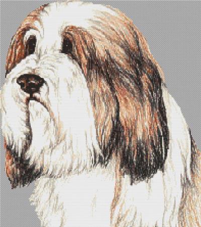 click here to view larger image of Bearded Collie (chart)