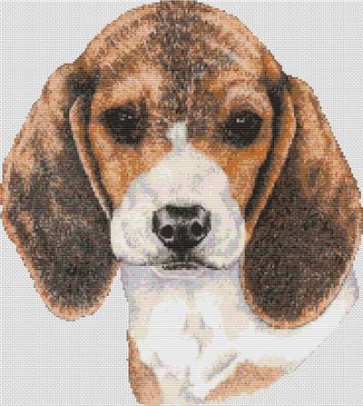 click here to view larger image of Beagle Baby (chart)