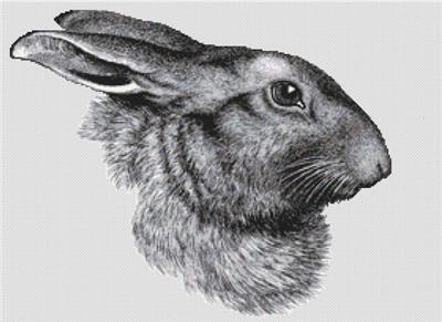click here to view larger image of Rabbit Portrait (chart)