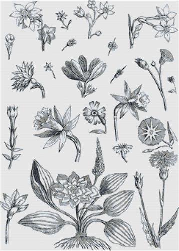 click here to view larger image of Decorative Floral Plants (chart)