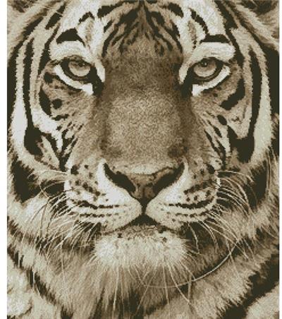 click here to view larger image of Tiger Portrait (Sepia) (chart)