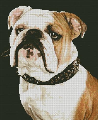 click here to view larger image of Bulldog  (chart)
