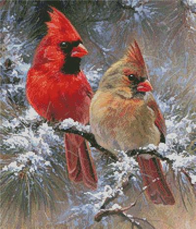 click here to view larger image of Cardinals in a Christmas Tree (Crop) (chart)