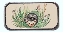click here to view larger image of Garden Hedgie Mini Needle Slide (accessory)