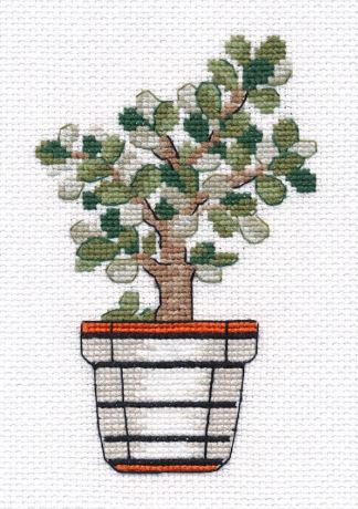 click here to view larger image of Crassula  (counted cross stitch kit)