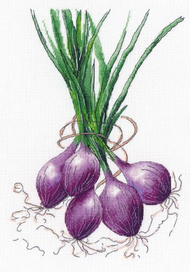 click here to view larger image of Onion (counted cross stitch kit)