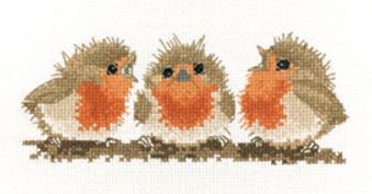 click here to view larger image of Ruffled Robins (counted cross stitch kit)