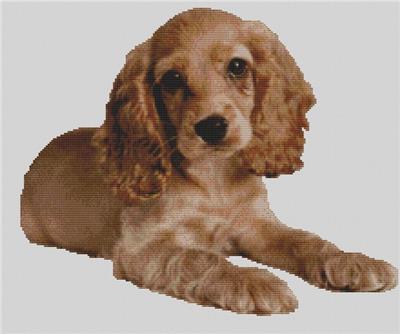click here to view larger image of Cocker Spaniel Puppy 2 (chart)