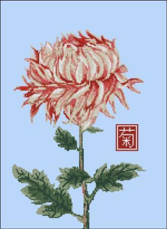 click here to view larger image of Japanese Chrysanthemum Red White (chart)