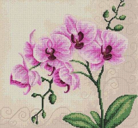 click here to view larger image of Orchid  (counted cross stitch kit)