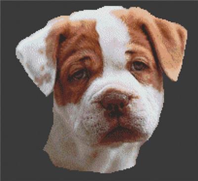click here to view larger image of American Bulldog Puppy (chart)