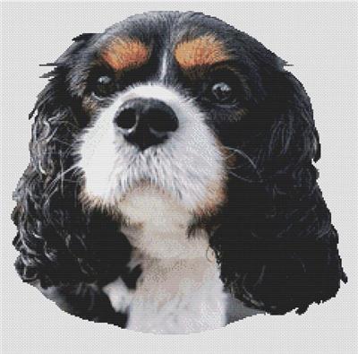 click here to view larger image of Tri-Colored Cavalier King Charles Spaniel (chart)