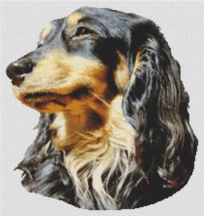 click here to view larger image of Black and Tan Long-haired Dachshund (chart)