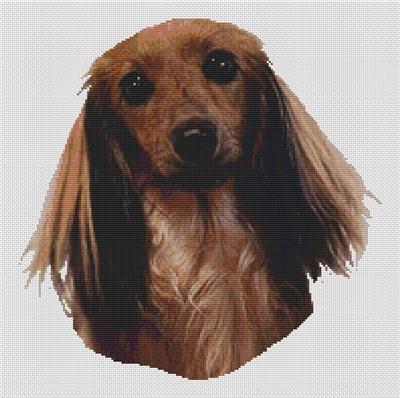 click here to view larger image of Sable Longhaired Dachshund (chart)