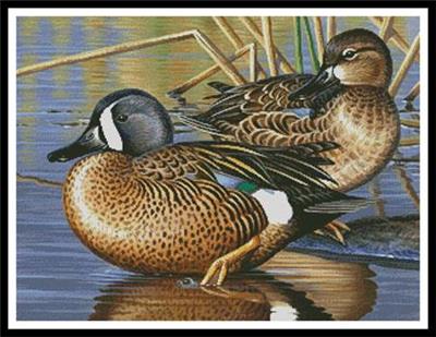 click here to view larger image of Blue Winged Teal Ducks (chart)