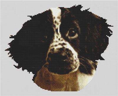 click here to view larger image of Springer Spaniel Puppy (chart)