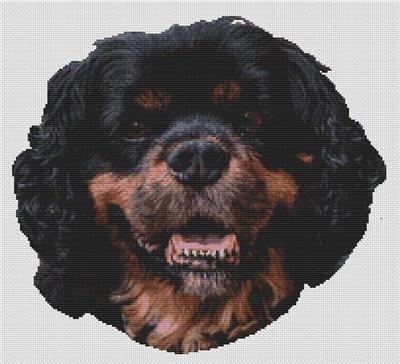 click here to view larger image of Black and Tan Cavalier King Charles Spaniel (chart)